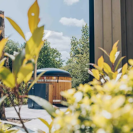 Tiny House Op De Veluwe - Veluwepark De Bosgraaf