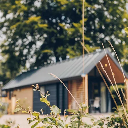 Tiny House Op De Veluwe - Veluwepark De Bosgraaf * Lieren