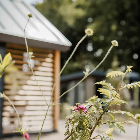 Parco vacanze Tiny House Op De Veluwe - Veluwepark De Bosgraaf *